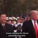 Trump Rolls Over for China